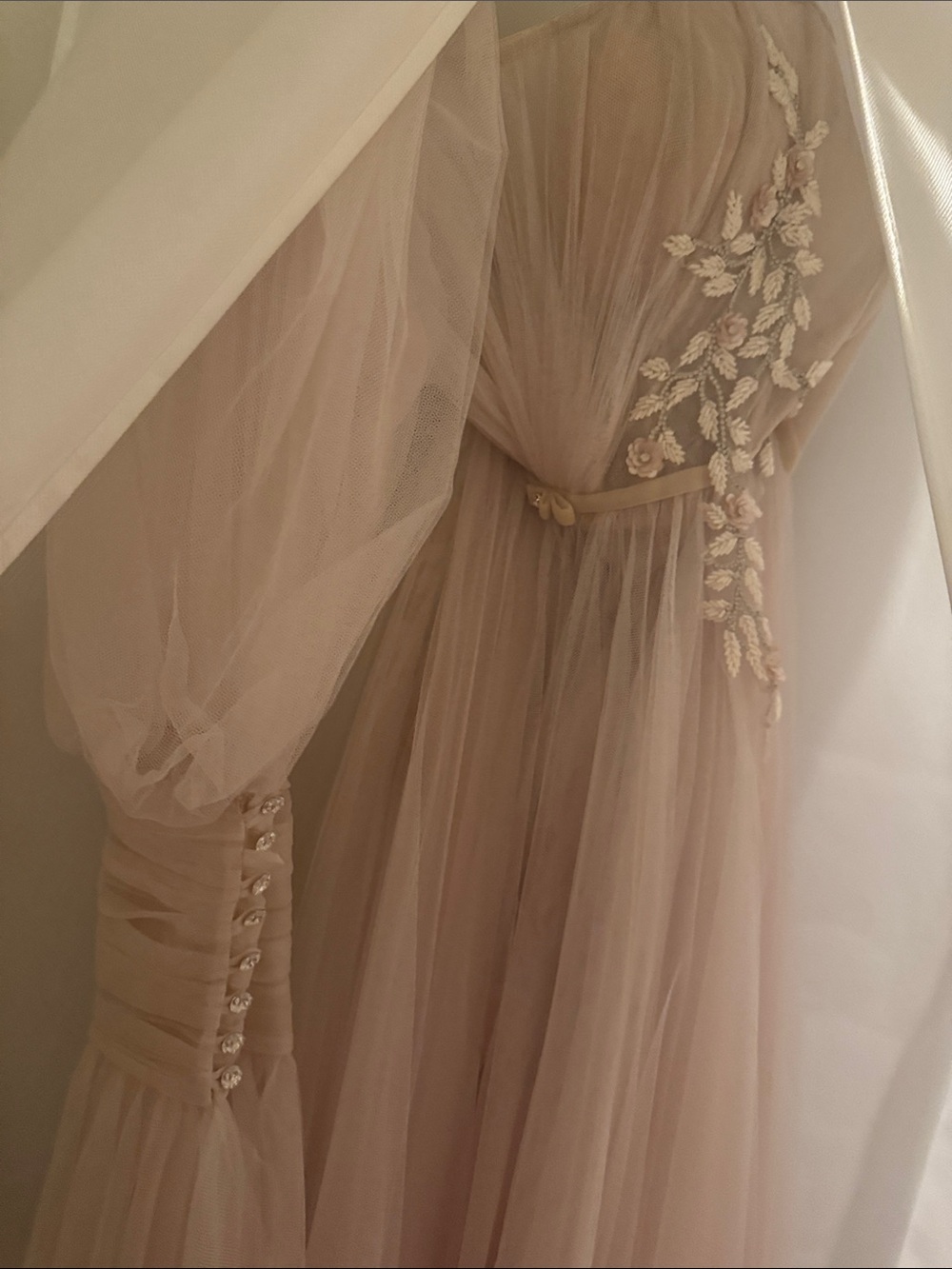 Sheer Off-Shoulder Tulle Gown in Champagne - Picture 10 of 10